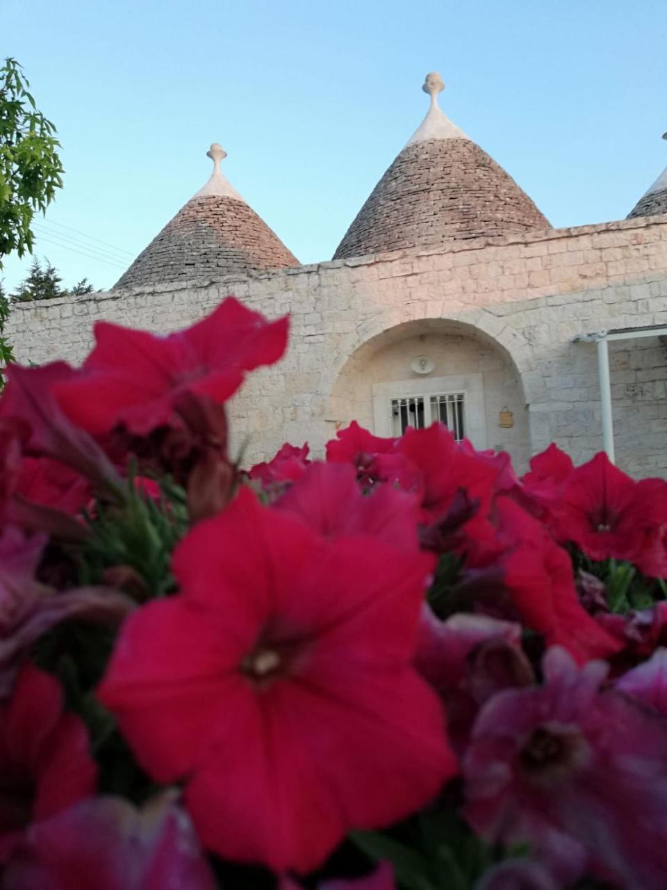 Antiche Dimore Terrarossa Alberobello Eksteriør bilde